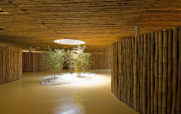 Bamboo Spars - Poles Decoration & Support Natural Color - Decoration Bamboo Poles